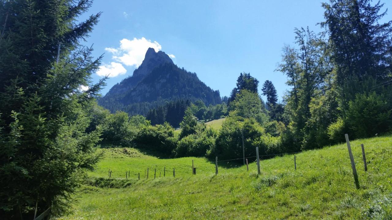 Wettermatte Villa Kiental Eksteriør billede