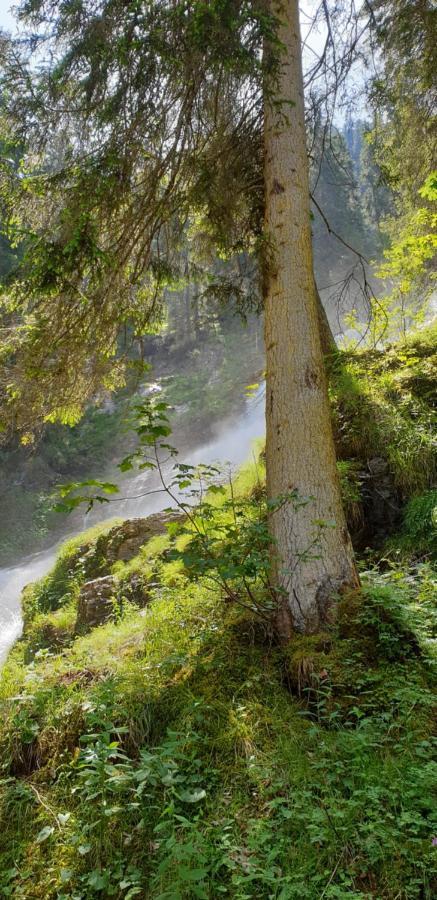 Wettermatte Villa Kiental Eksteriør billede